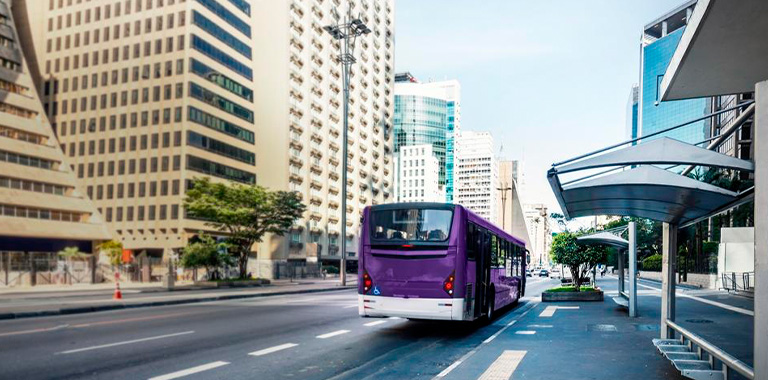 Vários ônibus